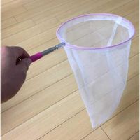 ファンキーズ2号 むしピンク 虫捕り網 1個 エーワン