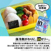 inゼリー（インゼリー） エネルギーフローズン 塩分プラス ライチ味  1セット（1個（180g）×12） クエン酸 森永製菓