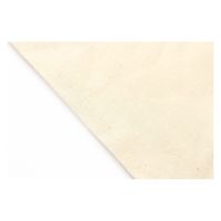 日本紐釦貿易 厚手コットン・ハンドル付リュック 生成 38×37cm 入 ES314 1個