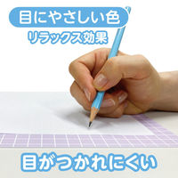 共栄プラスチック 下敷 しっかりシタ字キ A4 方眼/無地リバーシブル ぶどう SHS-A4-02 1枚