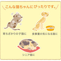 国産健康缶 エネルギー補給かつお 40g 1セット（1袋×6）国産 キャットフード ウェット パウチ