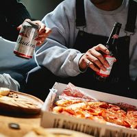 輸入ビール ビール バドワイザー 500ml 1ケース（24本）