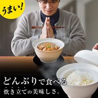 サンコー 2段式どんぶり型超高速炊飯器「炊き立て丼」 DNBRRCSWH 1個（直送品）