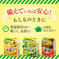 味の素　クノール フリーズドライスープ5種セット　1セット（24食）