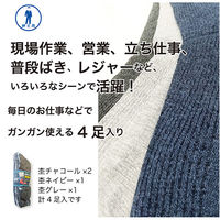 ジェイワークスプランニング 吸汗速乾リブソックス 先丸 杢 TS-013 1パック(4足入)（直送品）