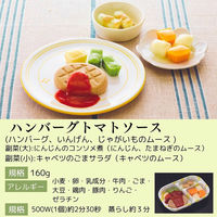 介護食 冷凍食品  マルハニチロ やさしいおかずセット ハンバーグトマトソース 160g 1個（直送品）