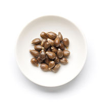 小谷穀粉 国産はと麦茶ティーバッグ 1袋（8バッグ入）【ノンカフェイン・水出し・お湯出し・三角バッグ】