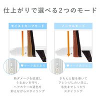 ヘアアイロン モイストキープモード スチーム 温度調節 海外対応 シェルホワイト TM453B-W テスコム 1個（直送品）