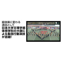 アーテック サテン大旗 コバルトブルー φ12mm 10本組 18429 1包（直送品）