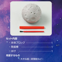 アーテック 天然石発掘キット 58251 1セット(4包)（直送品）