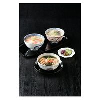 大和 日本のおいしいお料理 懐石茶漬け 19200536 1個（直送品）