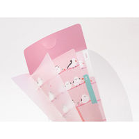 デザインフィル 3ポケットクリアホルダー A5スリム フラップ付き シマエナガ柄 35462006 1セット(1個×5)