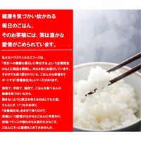【業務用】 ポリライス 5kg 1袋 ハウス食品