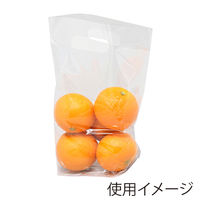 シモジマ 手抜きポリ袋 スタンドパック #30 20-27 006656214 1袋（100枚入）