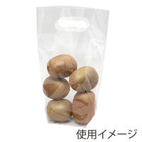 シモジマ 手抜きポリ袋 スタンドパック #30 16-25 006656212 1セット（1袋（100枚入）×60）