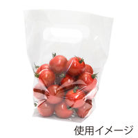 シモジマ 手抜きポリ袋 スタンドパック #30 16-18 006656211 1セット（1袋（100枚入）×60）