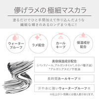 キレイファクトリー ミラーラッシュマスカラ 01 モダンブラック 青和通商