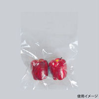 福助工業 ローデンポリ袋 ニューポリ袋 02 No.9 (4穴) 00734108 1ケース(10000個(100個×100)（直送品）