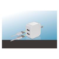 ハック 急速充電 USB2ポートAC充電器 HAC-3583A 1台