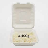 パックスタイル 弁当容器 新ABランチ200-220 649703 1ケース(200個(50個×4)（直送品）