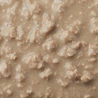 デビフ 猫用 カリユド シニア猫用 チキン 国産 95g 1セット（1個×3）キャットフード ウェット トレイ