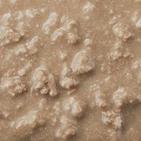 デビフ 猫用 カリユド シニア猫用 ポーク 国産 95g 1セット（1個×6）キャットフード ウェット トレイ