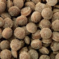 デビフ おすわりくん 超小粒 ビーフ 国産 75g 1セット（1袋×6）ドッグフード 犬用 おやつ