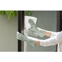 【ビニール手袋】 ショーワグローブ ナイスハンドDAYS Lサイズ モスグリーン NHDAYS-LG 1双