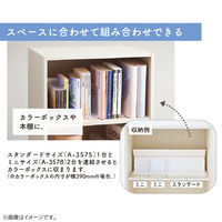 リヒトラブ 1冊でも倒れないブックスタンド Mini ブラック A3578-24 1台