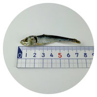 納得素材 犬猫用 にぼし 国産 300g 1袋 ペットライブラリー おやつ