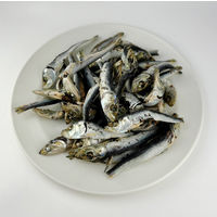 納得素材 犬猫用 にぼし 国産 300g 1セット（1袋×3）ペットライブラリー おやつ