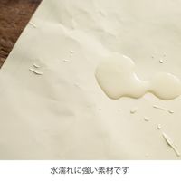 ヘッズ ブーケラッピング耐水ペーパー-5(30枚) BWP-D5 1セット(5パック×30枚)（直送品）