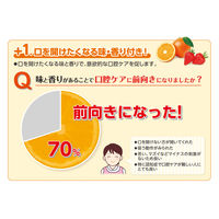 【口腔ケアウェットシート】 プラスハート マウスティシュー チョコレート風味 1ケース（60枚入×24パック） オオサキメディカル
