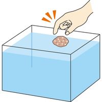 ベストバイオブロック 金魚用 バクテリア 国産 35g 水槽 観賞魚 1個 ジェックス