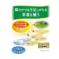 メダカ元気 育てる栄養ウォーター 国産 300mL 室内飼育 メダカ 稚魚 1個 ジェックス