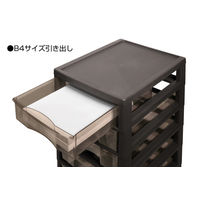 JEJアステージ アプロスB4深3段 ダークブラウン 1個