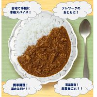 スパイスビーフカレー 銀座ナイルレストラン監修 本格インドカレー 180g 1セット（1箱×2）なとり レトルト