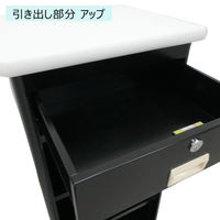 【軒先渡し】ストア・エキスプレス スチール製作業台 スライド棚付き 黒 扉無し【完成品でお届け】 6948-260 1台 61-146-12-1（直送品）