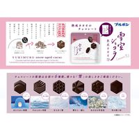 チョコレート バレンタイン ホワイトデー 個包装　お配り菓子 雪室ショコラ　熟成カカオ73 45g 1セット（1個×6）