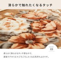 【玄関渡し】 萩原 アドリア BR 220x320 HCカバー ブラウン 220×320cm（直送品）