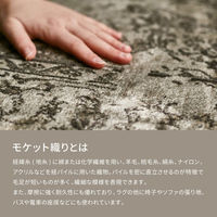 【玄関渡し】 萩原 ベルギー製モケットラグ　ロイヤルパレス　ビオレッタ ブラウン 195×250cm（直送品）