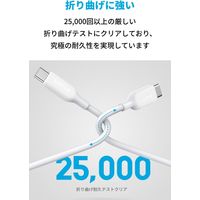 Anker USB Type-Cケーブル 3m - USB-C[オス] PowerLine 1本 アンカー