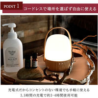 山善(YAMAZEN) ヒーリングセント アロマディフューザー 超音波式 自動オフ LED タイマー付 LDX-123(M) 1台（直送品）