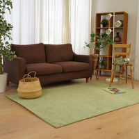 スミノエ コンシェルジュ オーダーラグ エコロア 1600×4250mm グリーン AS-ECR114-GN160425 1枚（直送品）