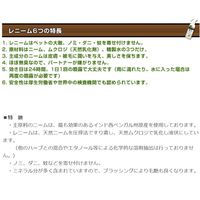 LENEEM スプレー 本体 200ml 1個 FLF