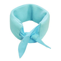 ケンユー ネックール氷結IIブルー HRN2-64B 1個