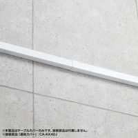 サンワサプライ 配線ダクト(40×30×1000mm・ホワイト) CA-KK40W 1個