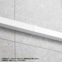 サンワサプライ 配線ダクト(80×60×1000mm・ホワイト) CA-KK80W 1個（直送品）