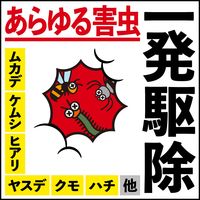 害虫対策 駆除 燻煙剤 アースレッド イヤな虫用 12～16畳用 1個 アース製薬