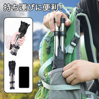 ベスト・アンサー コンパクトチェア 伸縮タイプ L レッド aut-057-cc-l-re 1台（直送品）